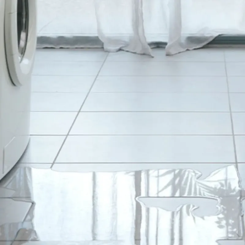 Appliance Leak Cleanup in Concordia, MO