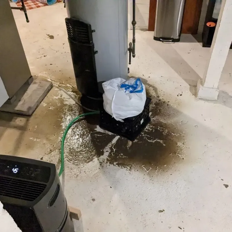 Sewage Backup Cleanup Service in Concordia, MO